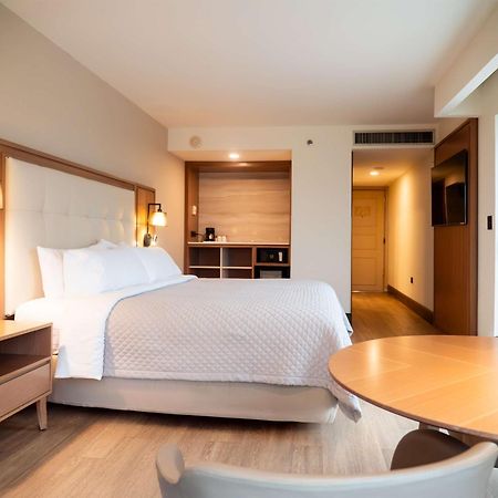Ms Milenium Monterrey Curio Collection By Hilton San Pedro Garza Garcia Exterior foto